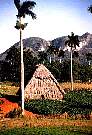 vinales.jpg