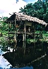 orinocoindianerhuette.jpg