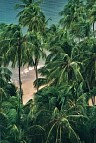 riocaribe.jpg